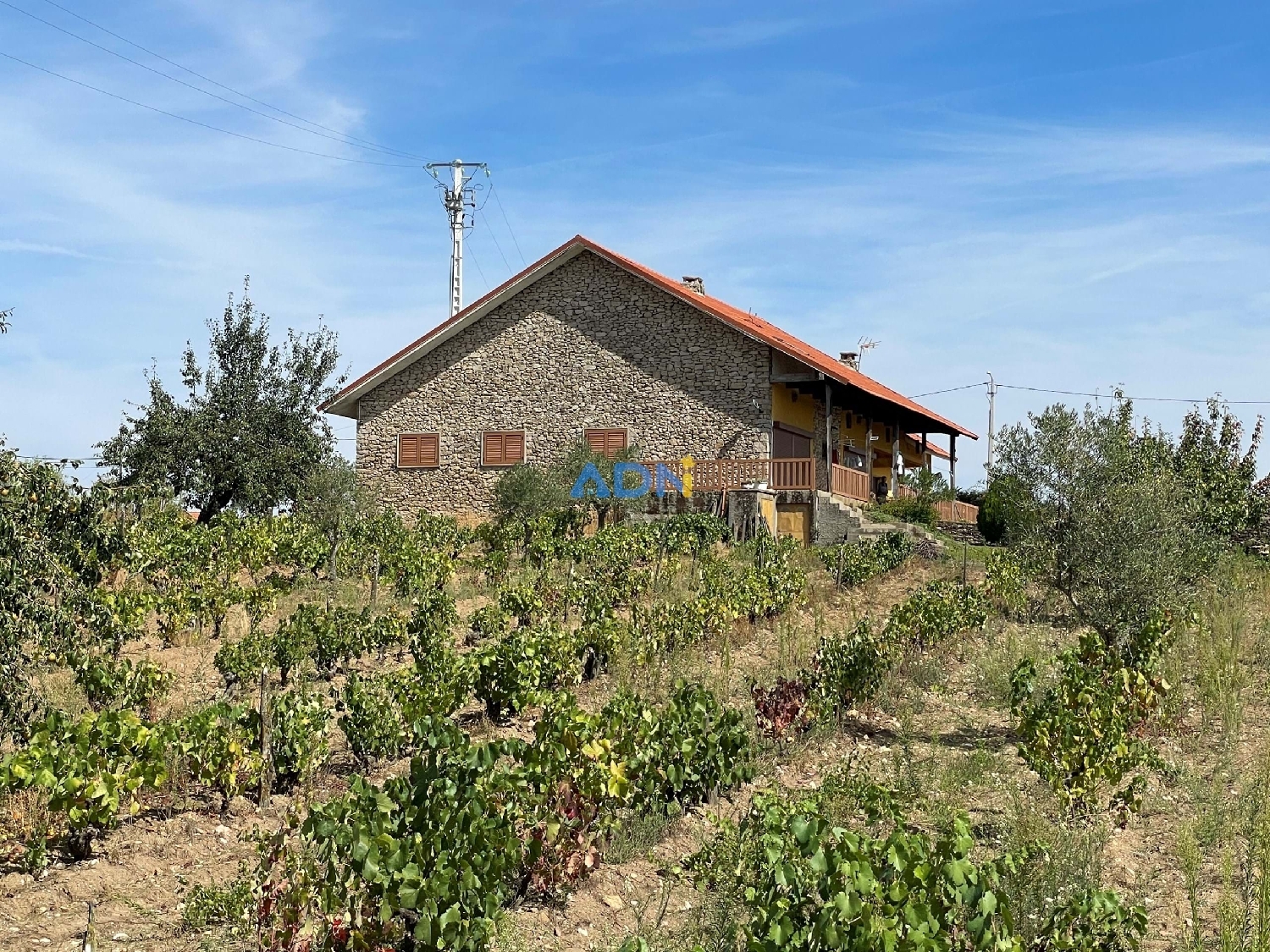  for sale farm Freixo de Espada à Cinta Freixo De Espada À Cinta 2