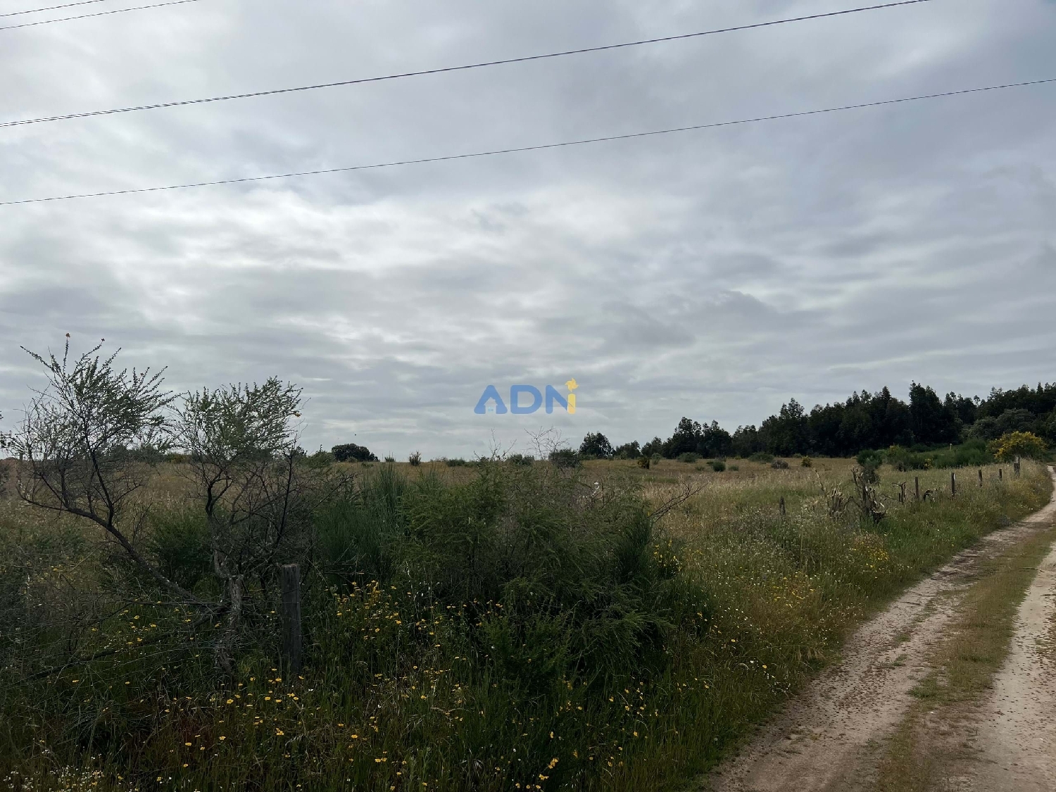  à vendre ferme Fundão Fundão 4