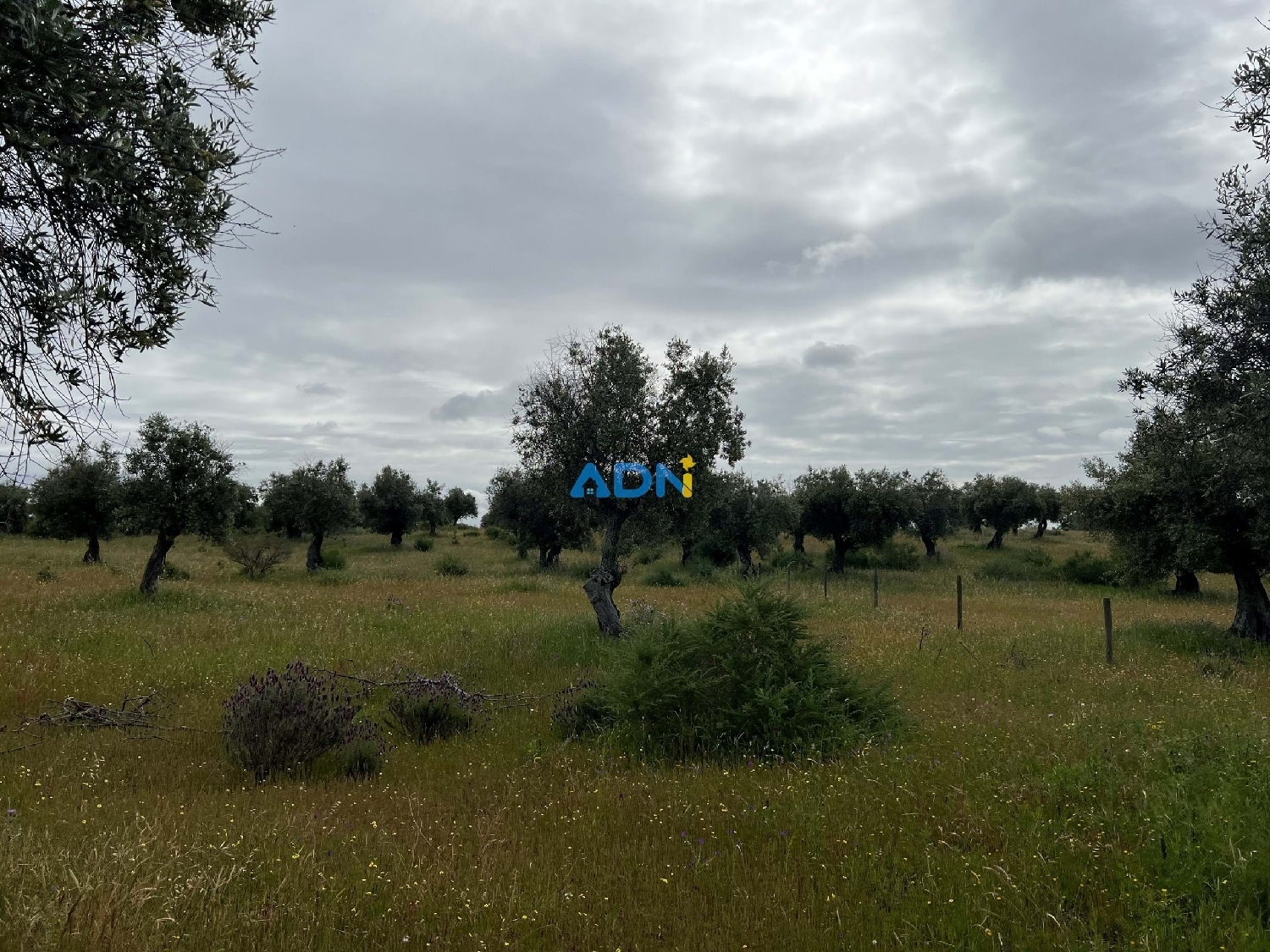  à vendre ferme Fundão Fundão 6