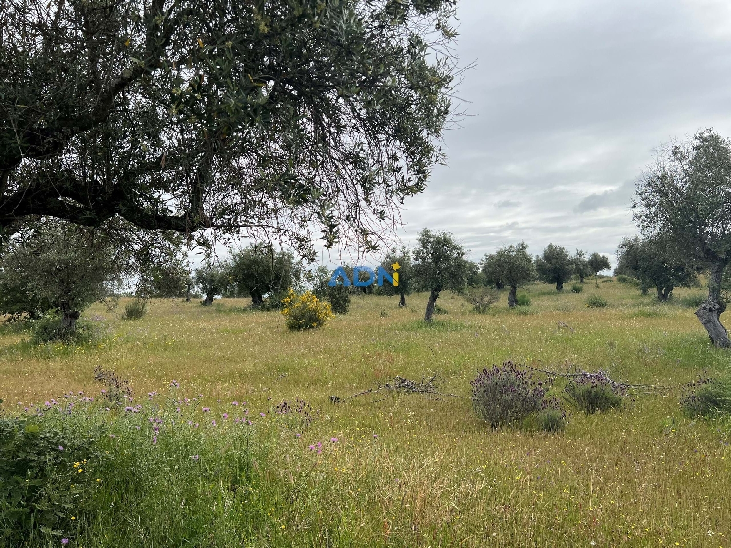  à vendre ferme Fundão Fundão 8