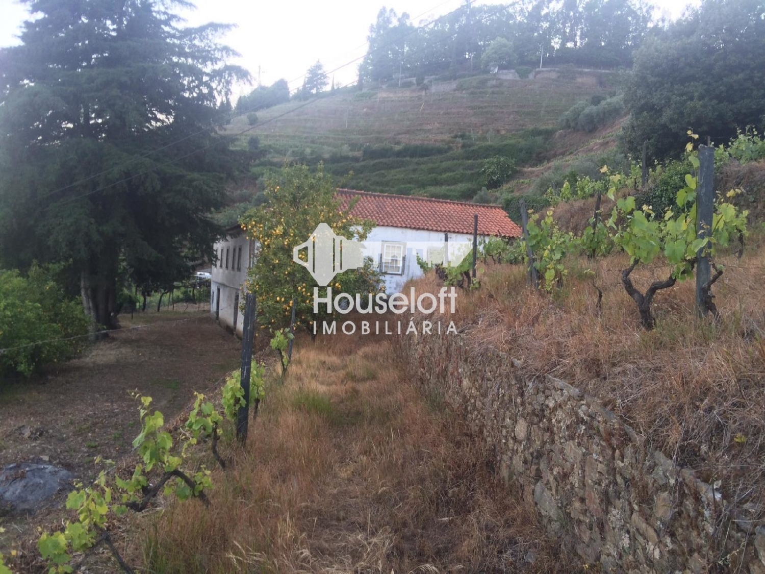 à vendre ferme Godim Peso Da Régua 2
