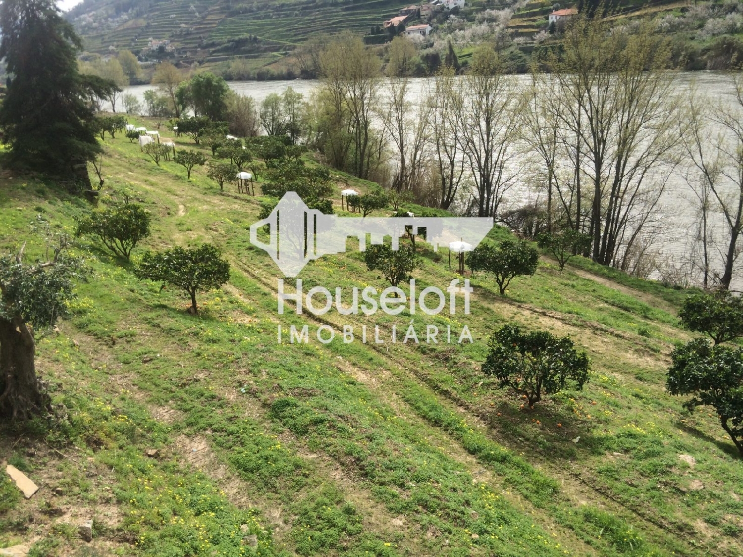 te koop boerderij Godim Peso Da Régua 3