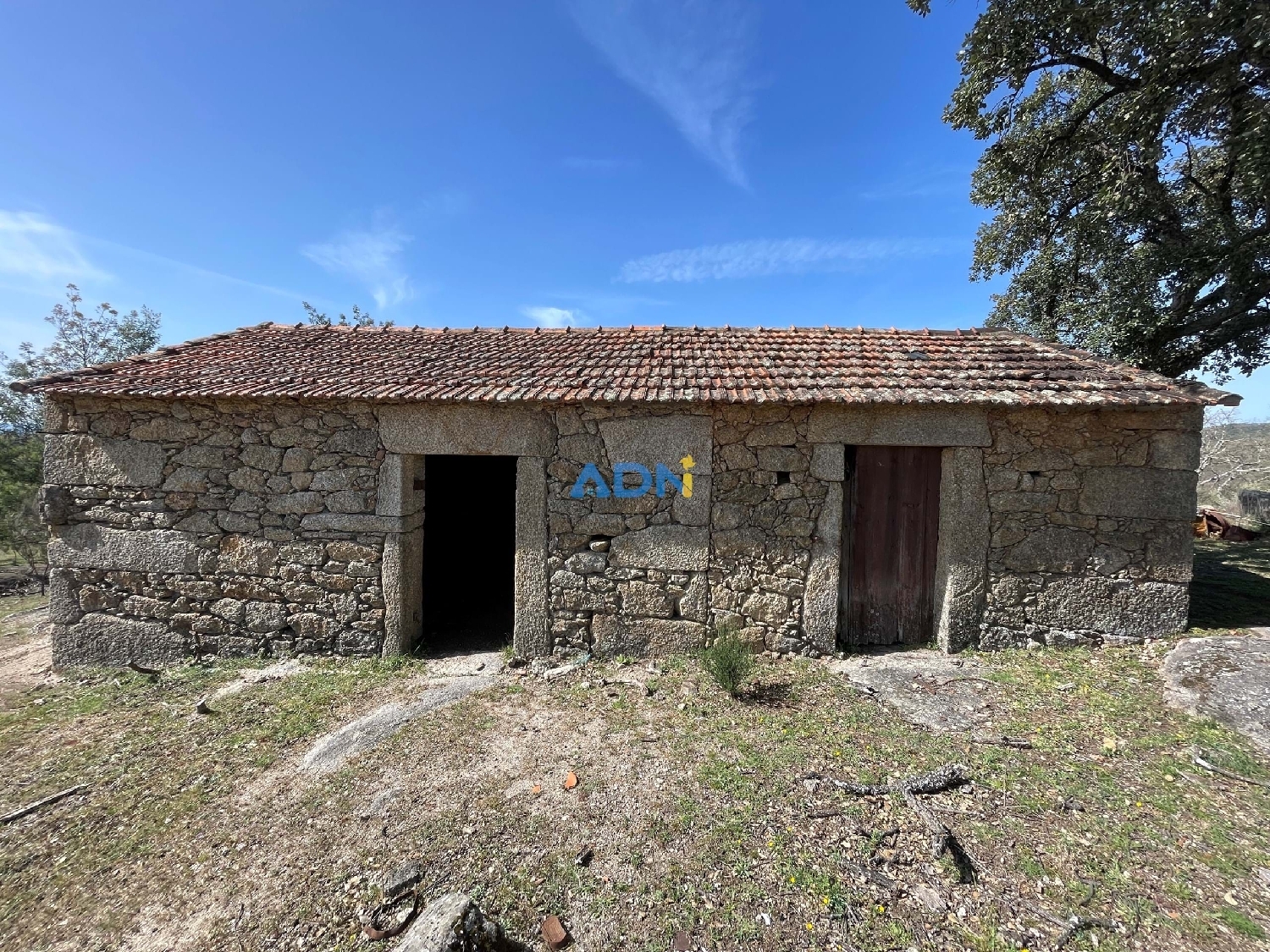 te koop boerderij Idanha-A-Nova Idanha-A-Nova 3