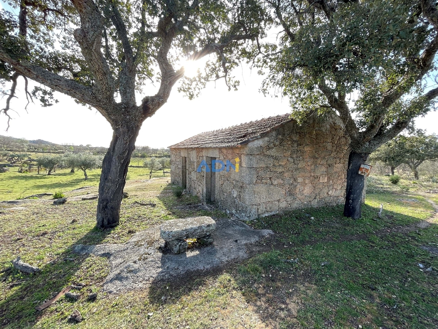  te koop boerderij Idanha-A-Nova Idanha-A-Nova 4