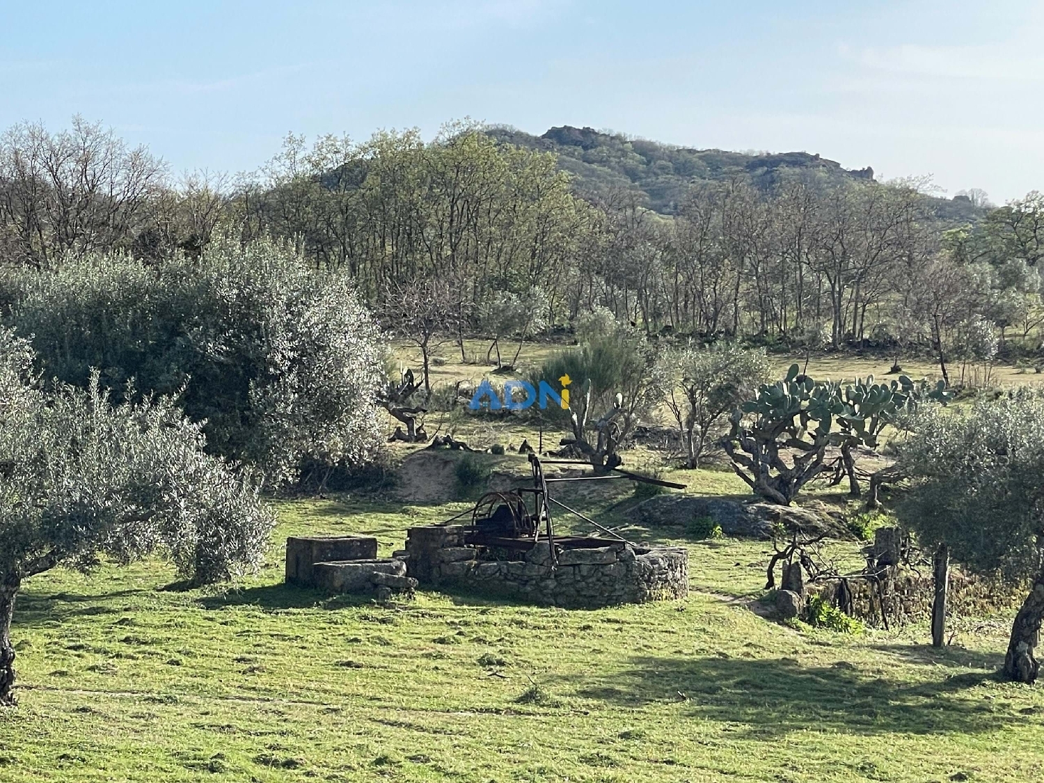  te koop boerderij Idanha-A-Nova Idanha-A-Nova 5