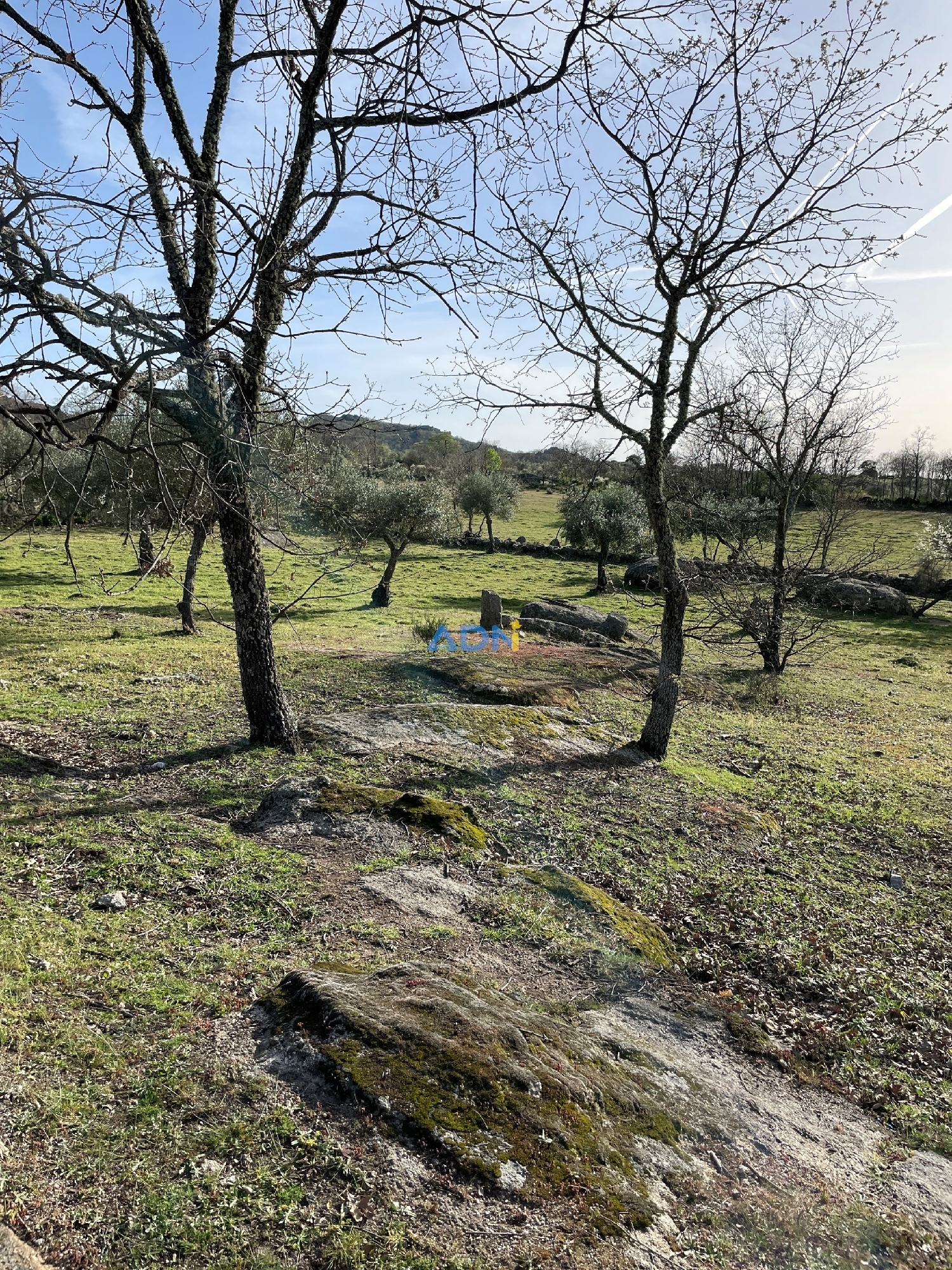  te koop boerderij Idanha-A-Nova Idanha-A-Nova 8