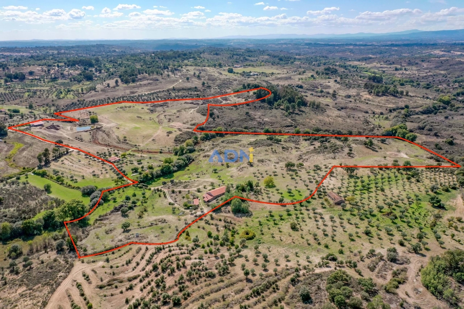  te koop boerderij Idanha-A-Nova Idanha-A-Nova 2