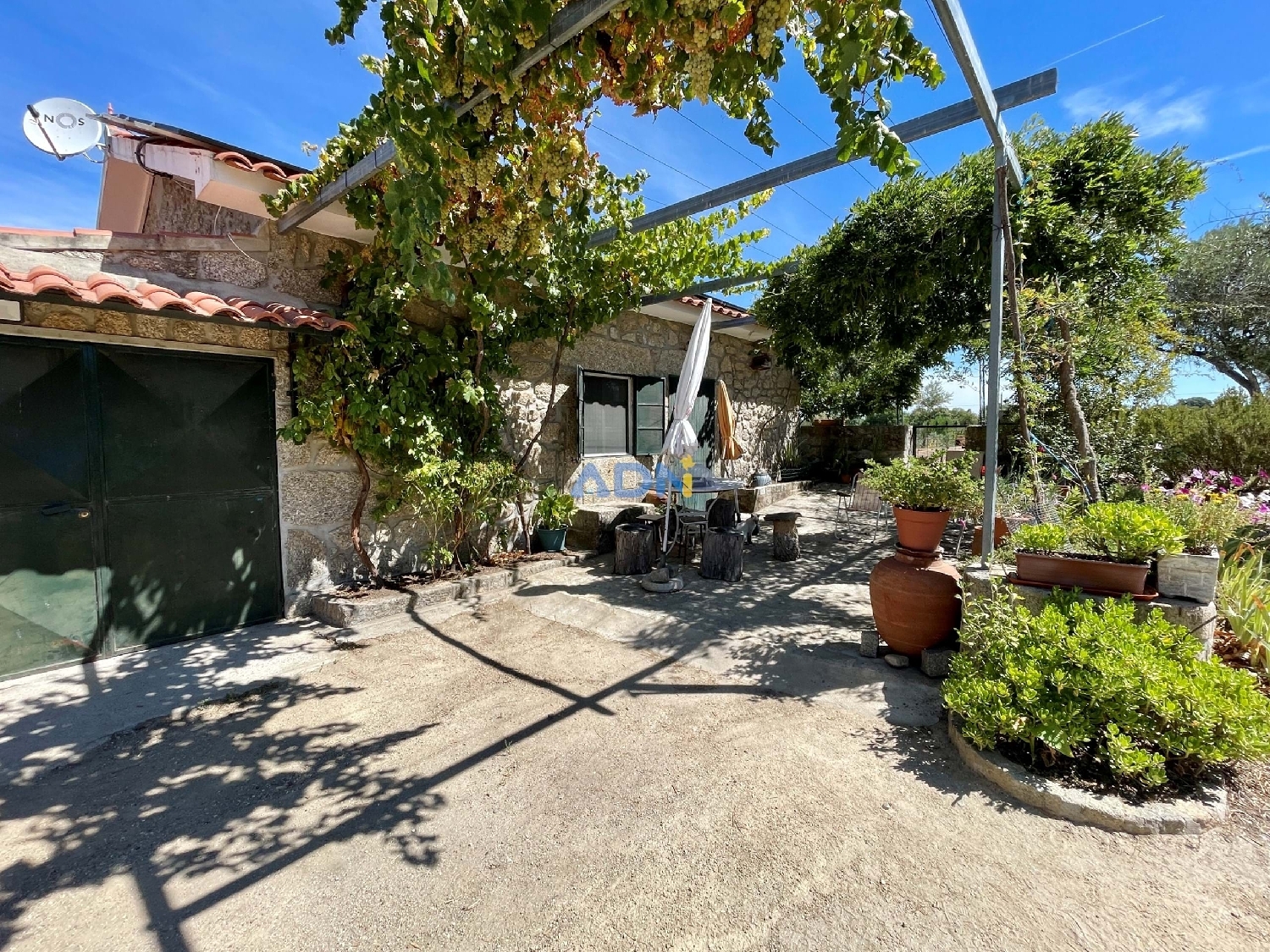  te koop boerderij Idanha-A-Nova Idanha-A-Nova 6