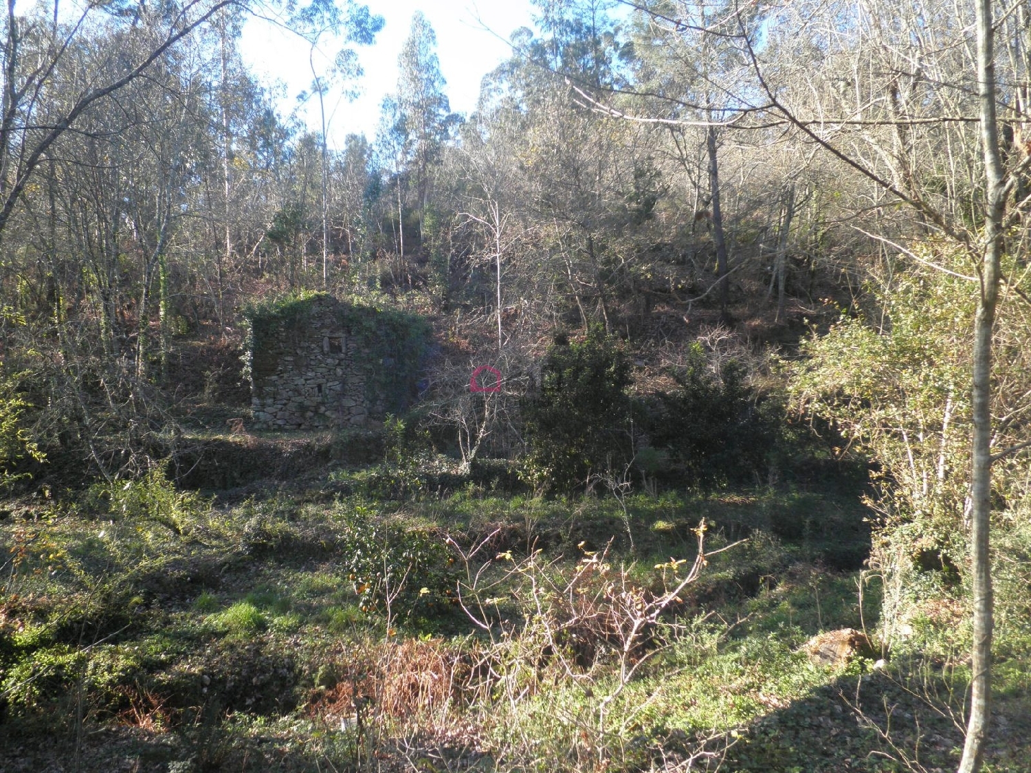 kaufen Bauernhof Lomba Arouca 3