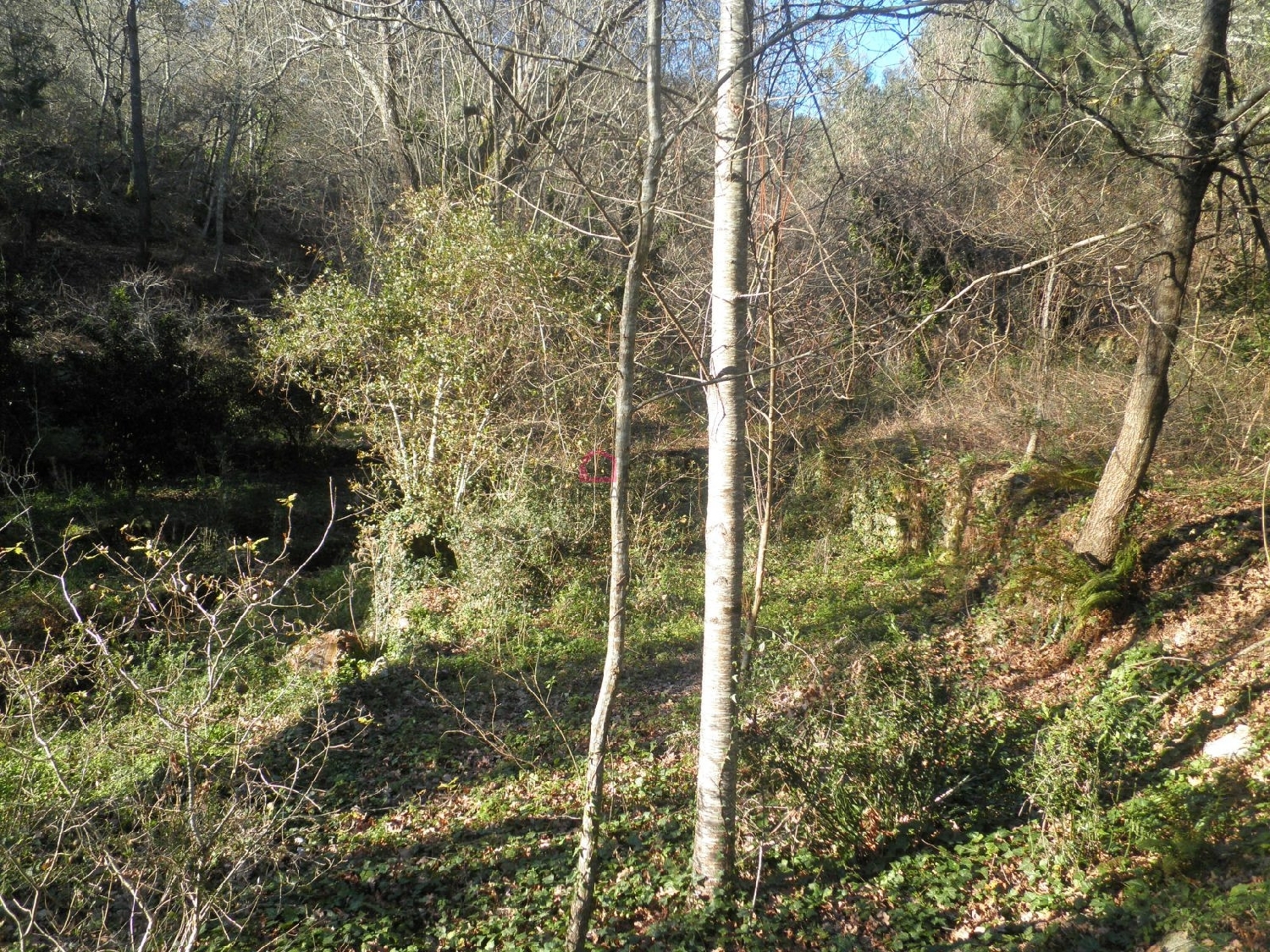  kaufen Bauernhof Lomba Arouca 6