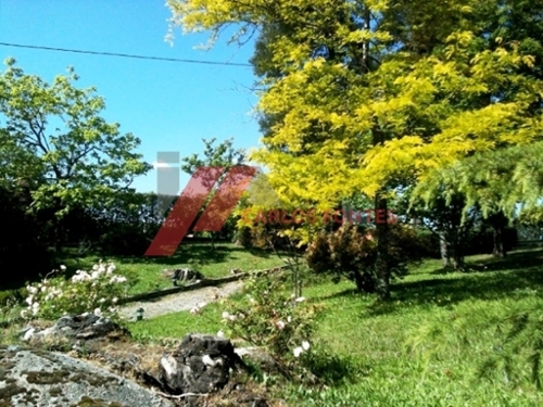 Monte Córdova Santo Tirso boerderij foto 334922