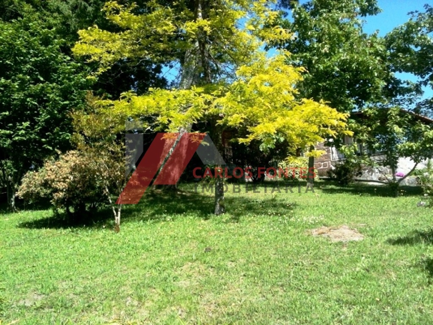  te koop boerderij Monte Córdova Santo Tirso 2