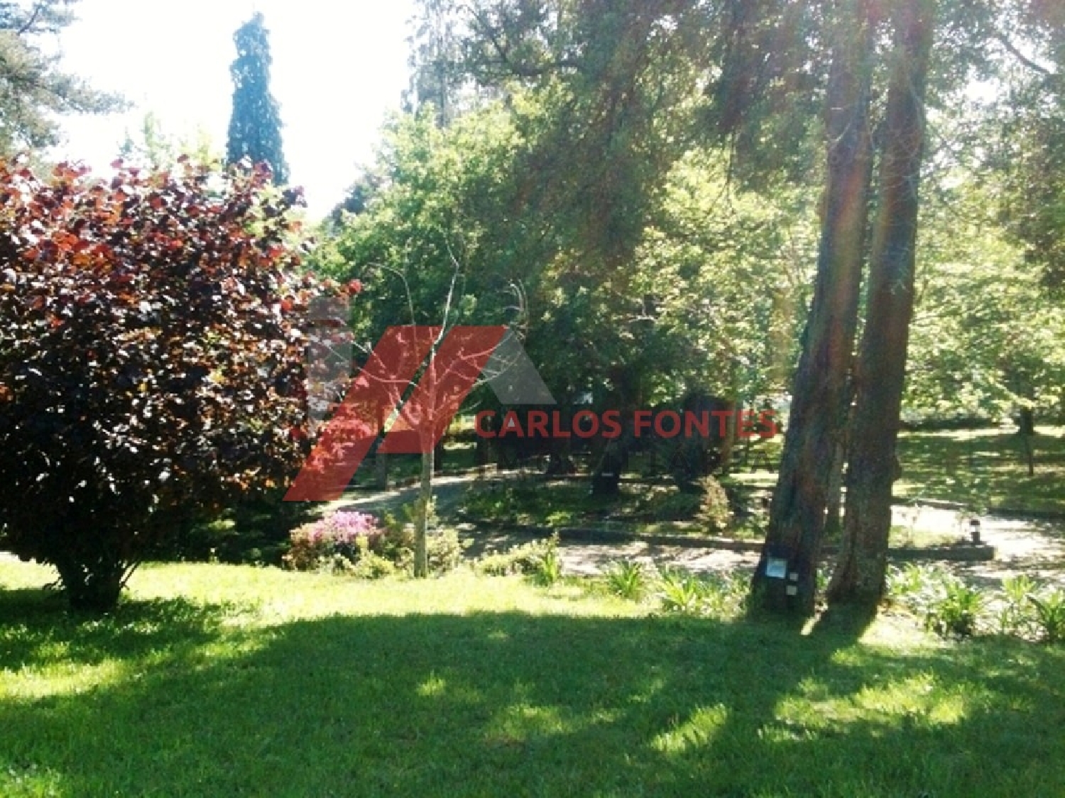  te koop boerderij Monte Córdova Santo Tirso 5