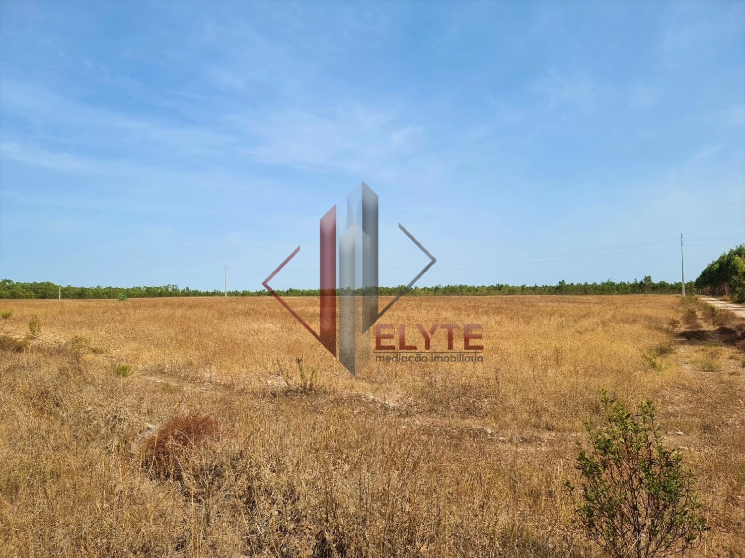 for sale farm Muge Salvaterra De Magos 2