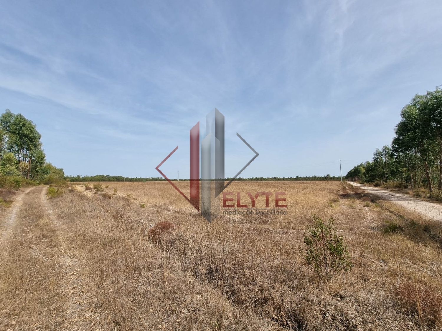 for sale farm Muge Salvaterra De Magos 3
