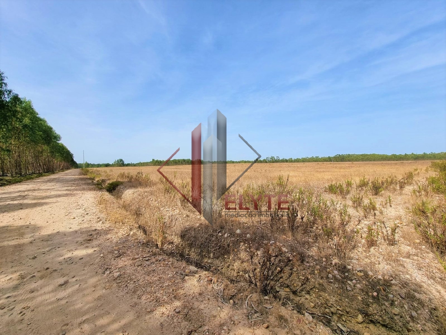  for sale farm Muge Salvaterra De Magos 4