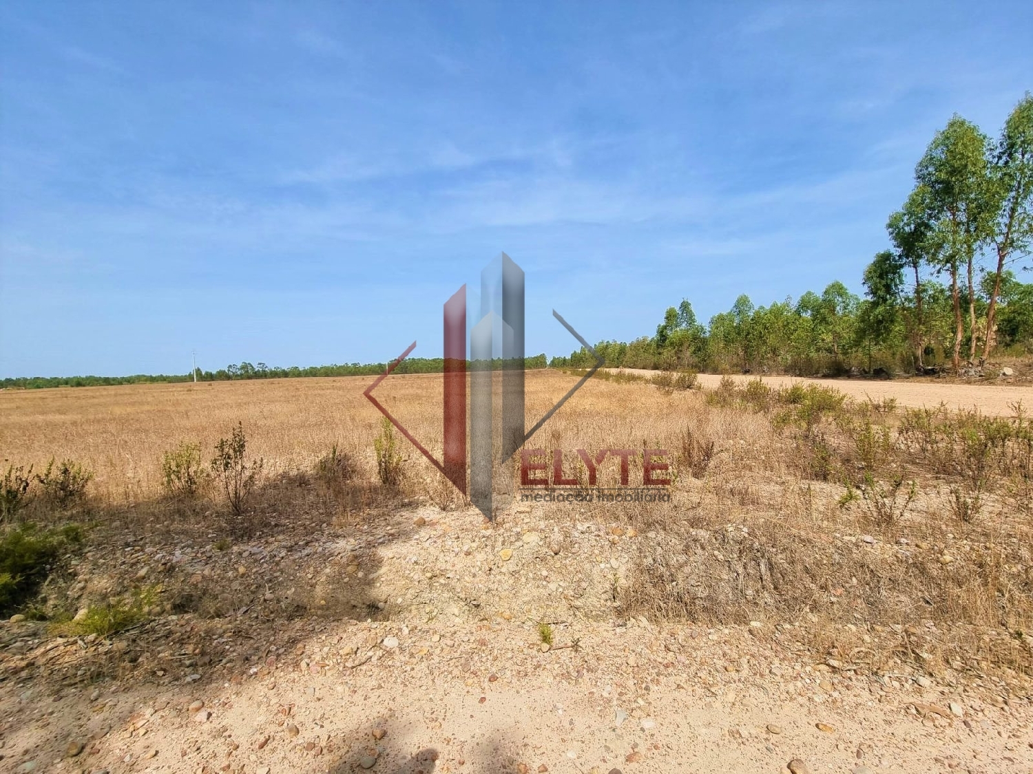  for sale farm Muge Salvaterra De Magos 6