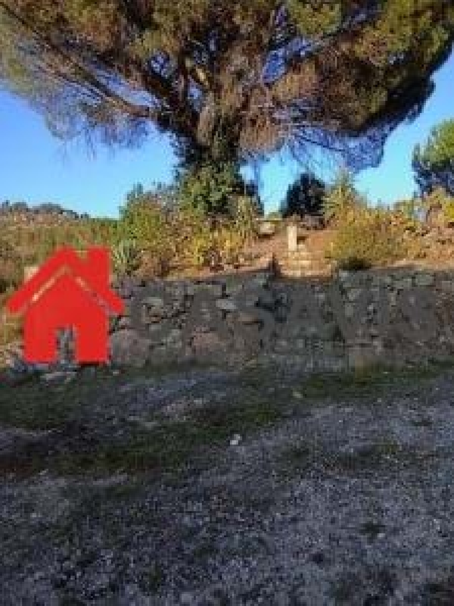  kaufen Bauernhof Penalva do Castelo Penalva Do Castelo 1