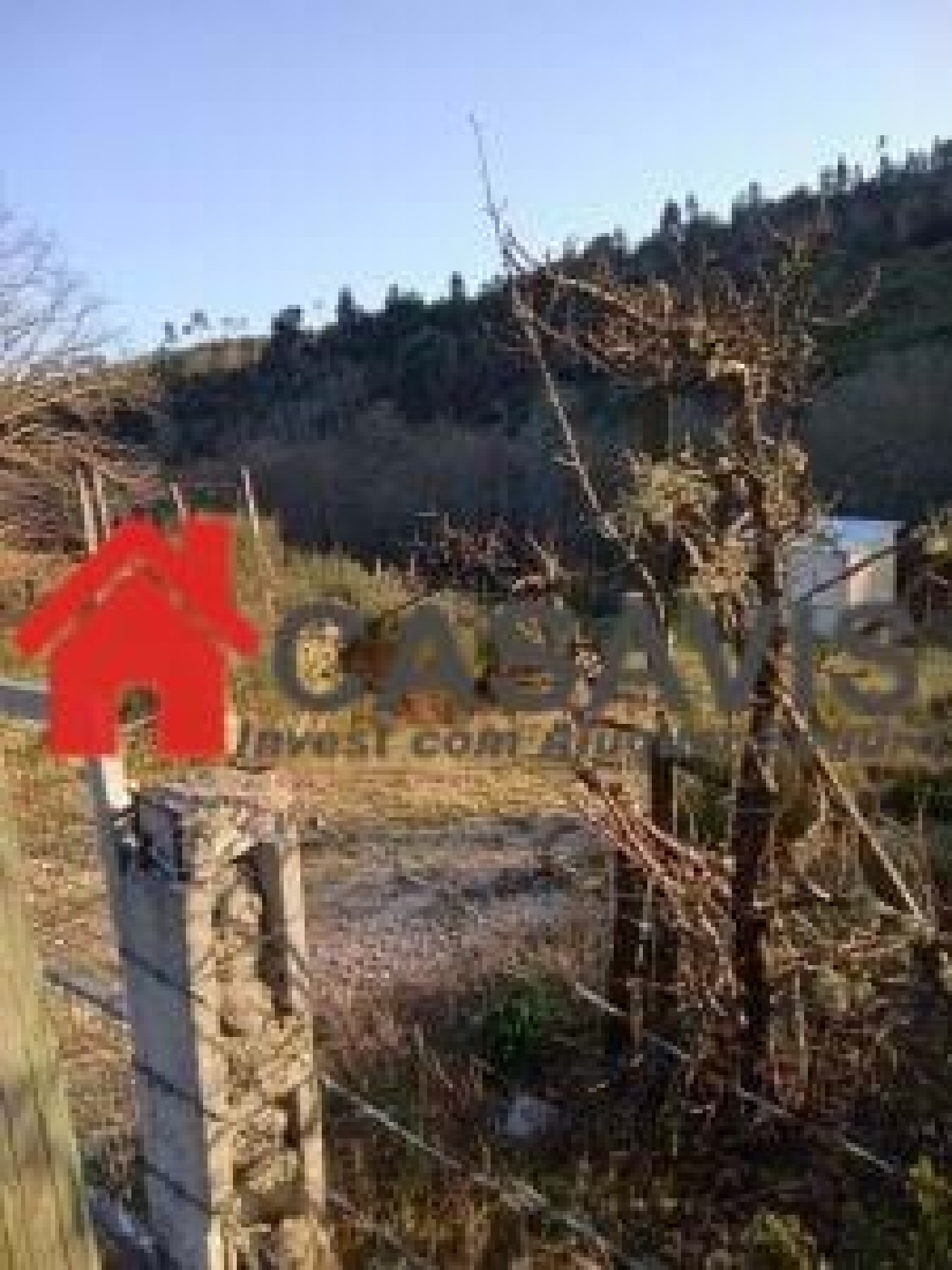kaufen Bauernhof Penalva do Castelo Penalva Do Castelo 3