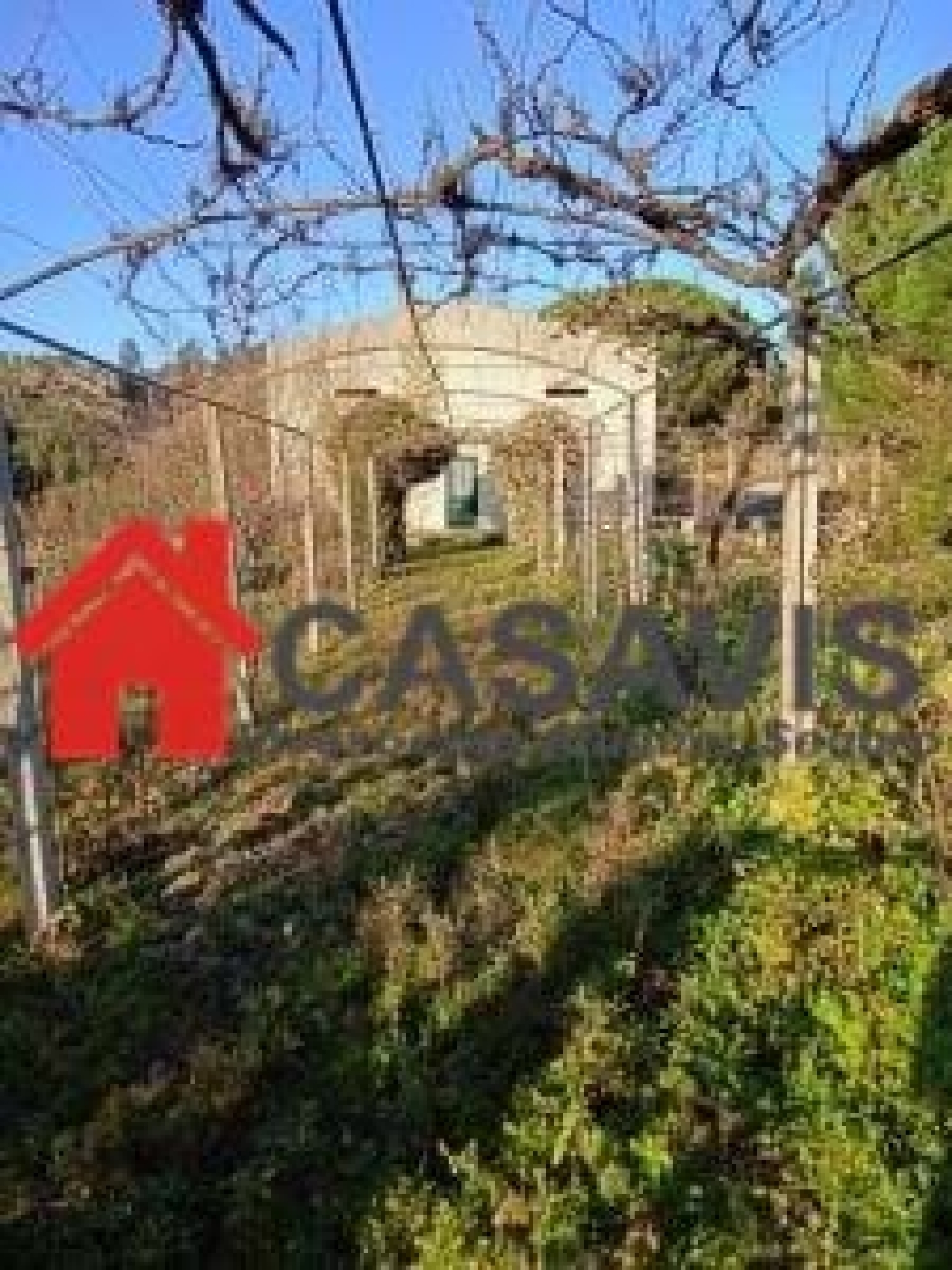  kaufen Bauernhof Penalva do Castelo Penalva Do Castelo 4
