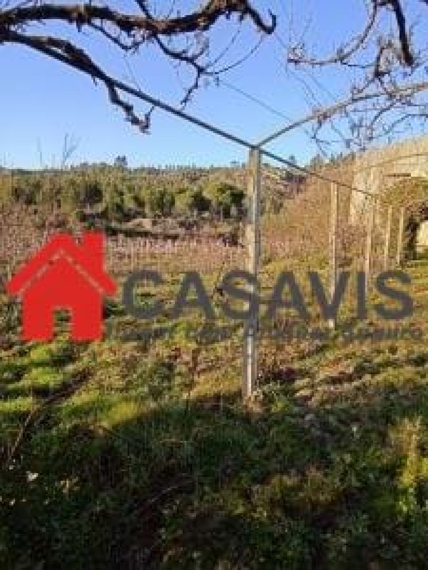  kaufen Bauernhof Penalva do Castelo Penalva Do Castelo 5
