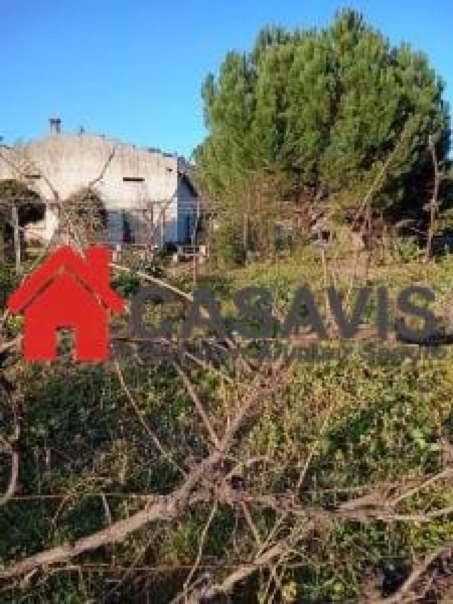  kaufen Bauernhof Penalva do Castelo Penalva Do Castelo 6