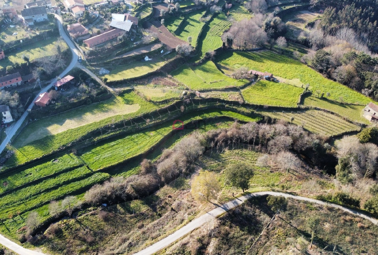  kaufen Bauernhof Ribeira Castro Daire 4