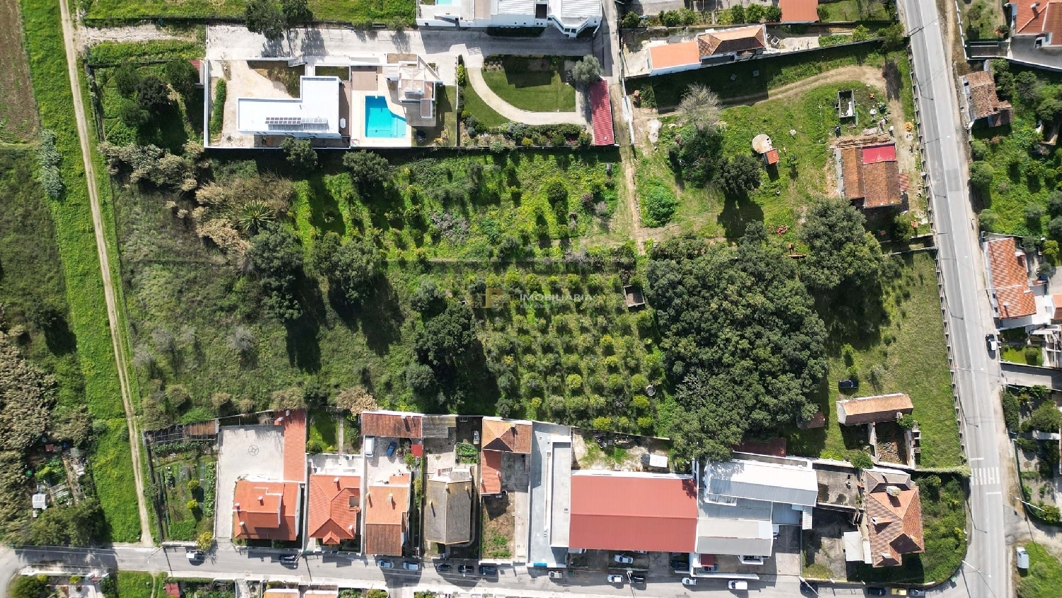  te koop boerderij Santarém Santarém 2