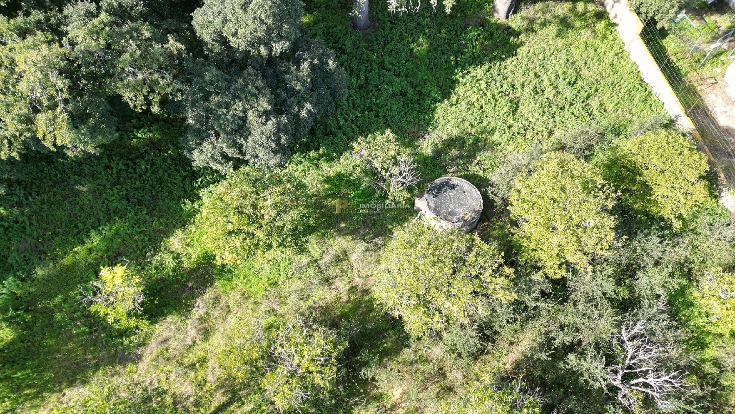  te koop boerderij Santarém Santarém 7