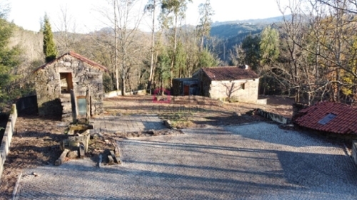 Serrazes São Pedro Do Sul boerderij foto 335504