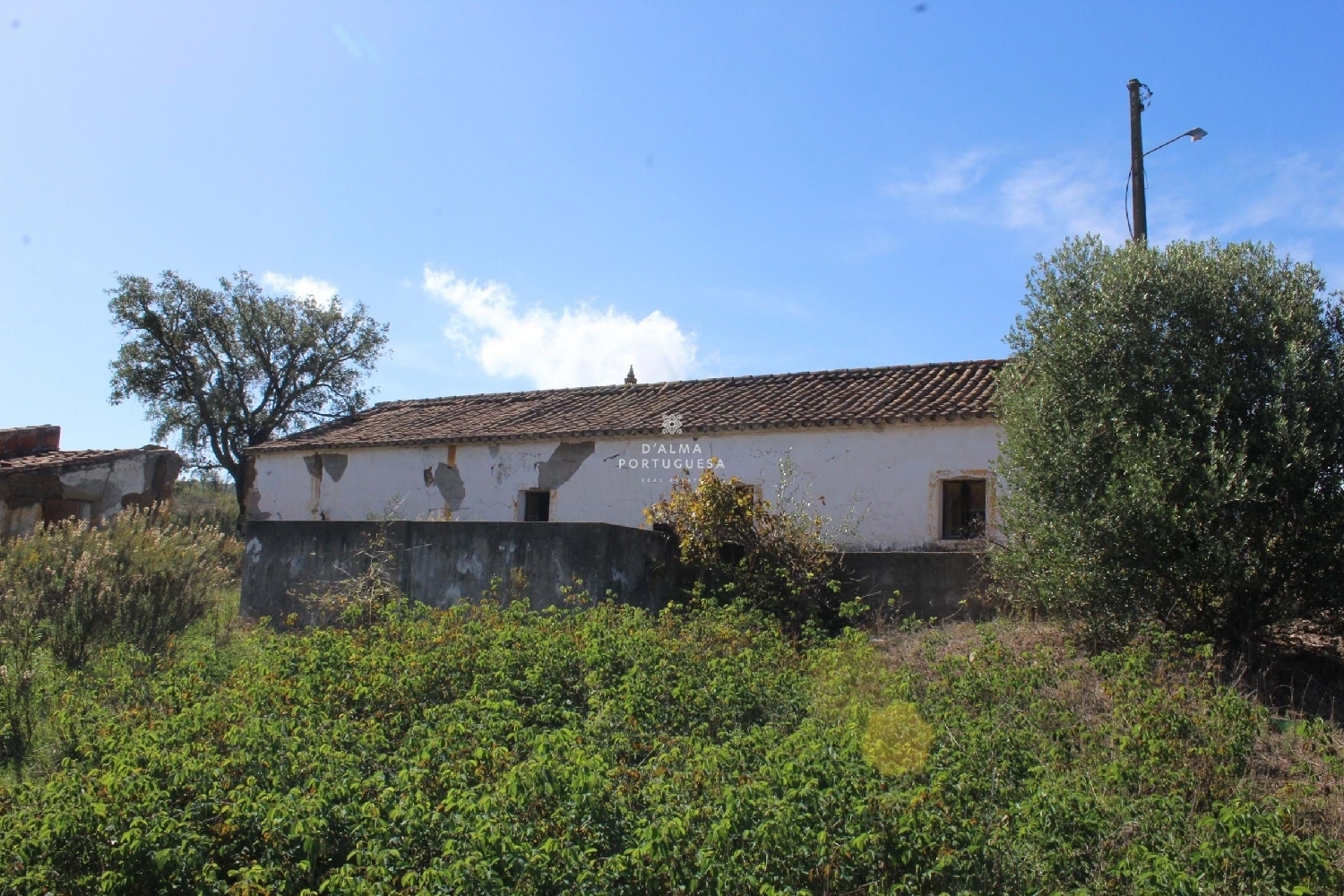  te koop boerderij Silves Silves 1