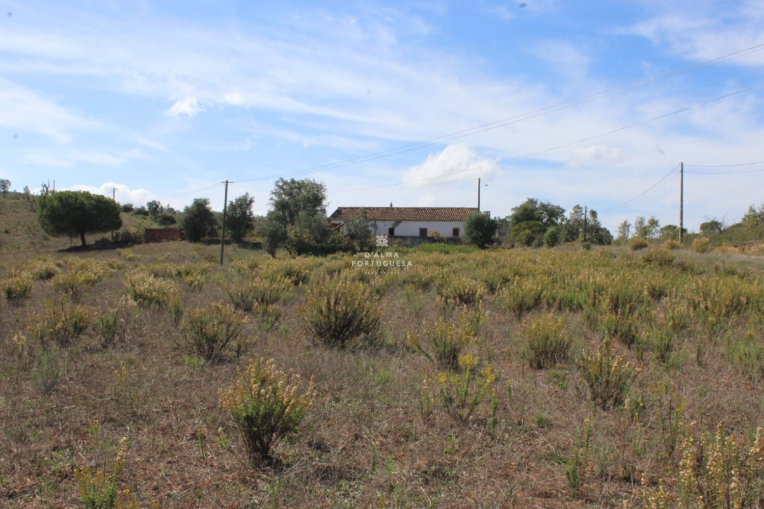 te koop boerderij Silves Silves 2