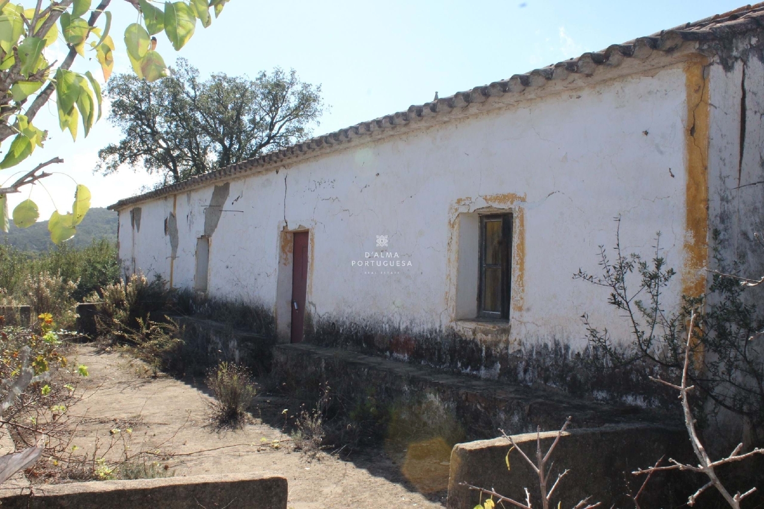  te koop boerderij Silves Silves 3