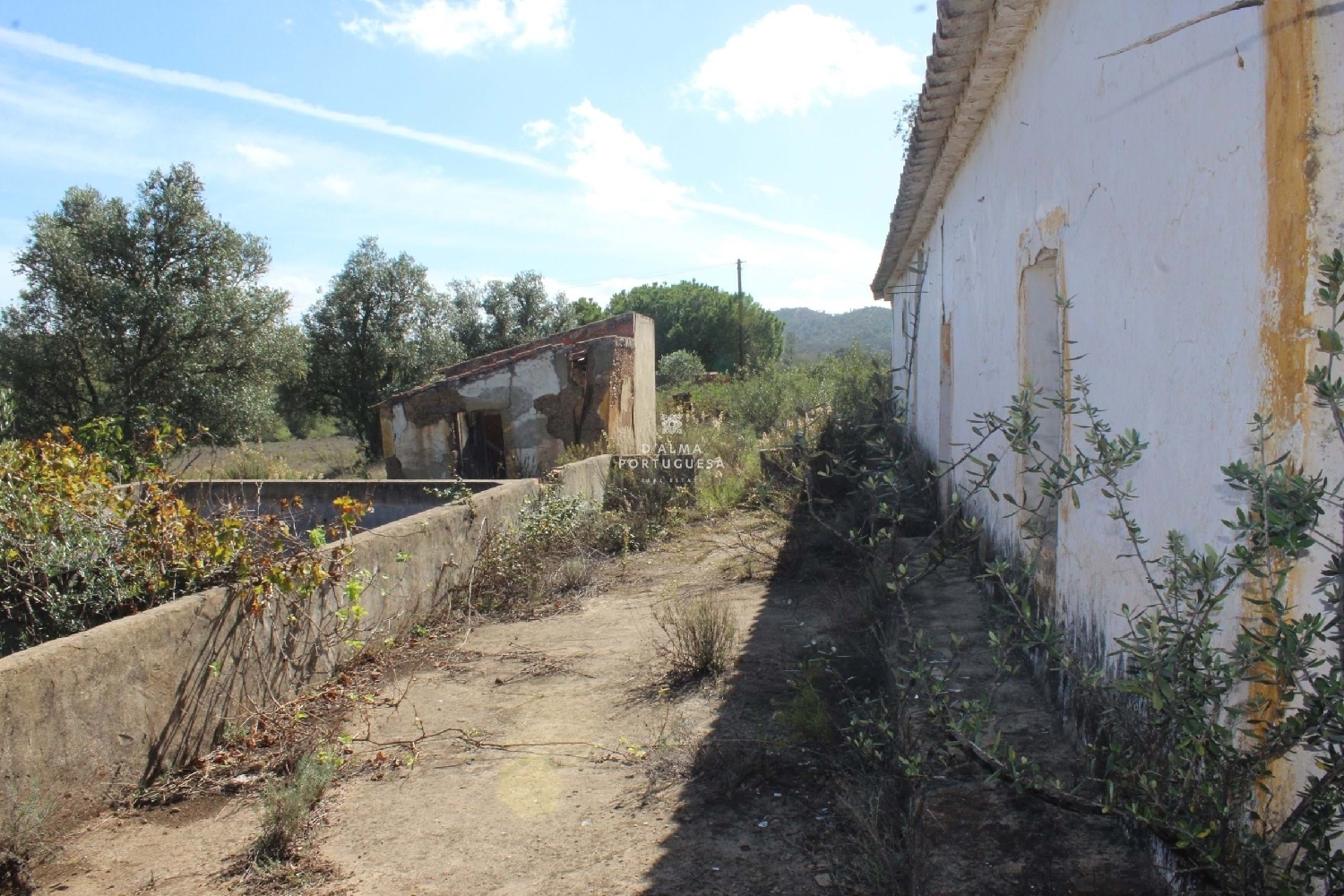  te koop boerderij Silves Silves 5