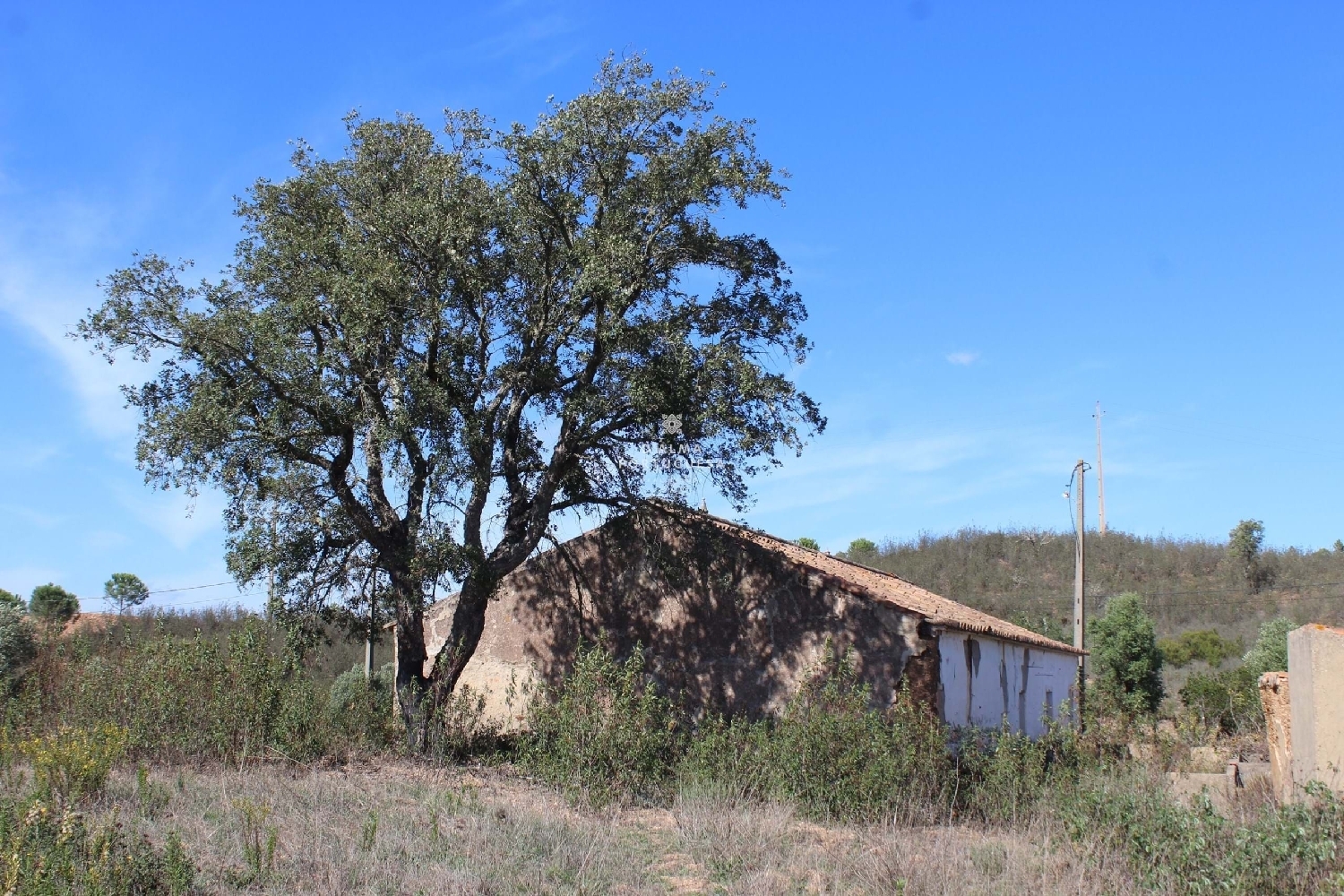  te koop boerderij Silves Silves 6