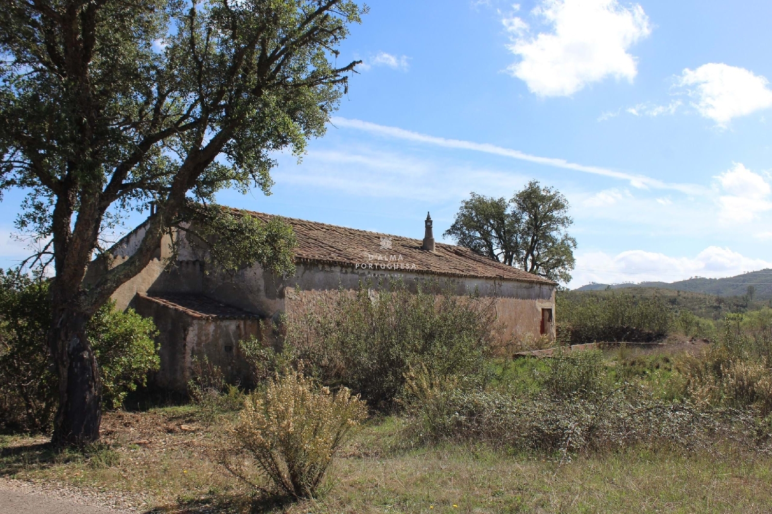  te koop boerderij Silves Silves 8