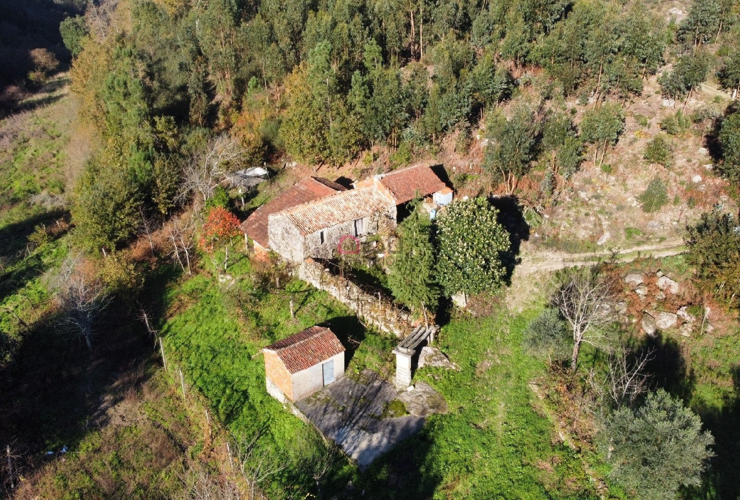 kaufen Bauernhof Souto Castro Daire 2