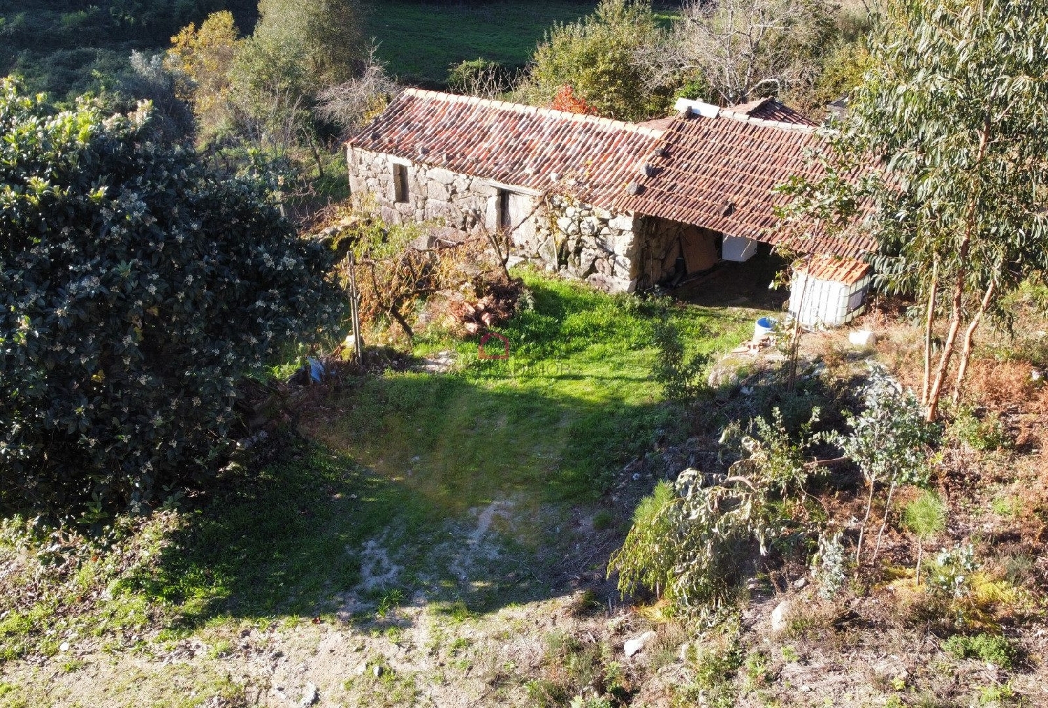kaufen Bauernhof Souto Castro Daire 3