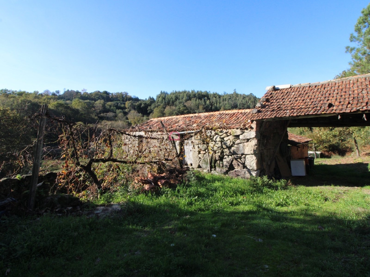  kaufen Bauernhof Souto Castro Daire 4