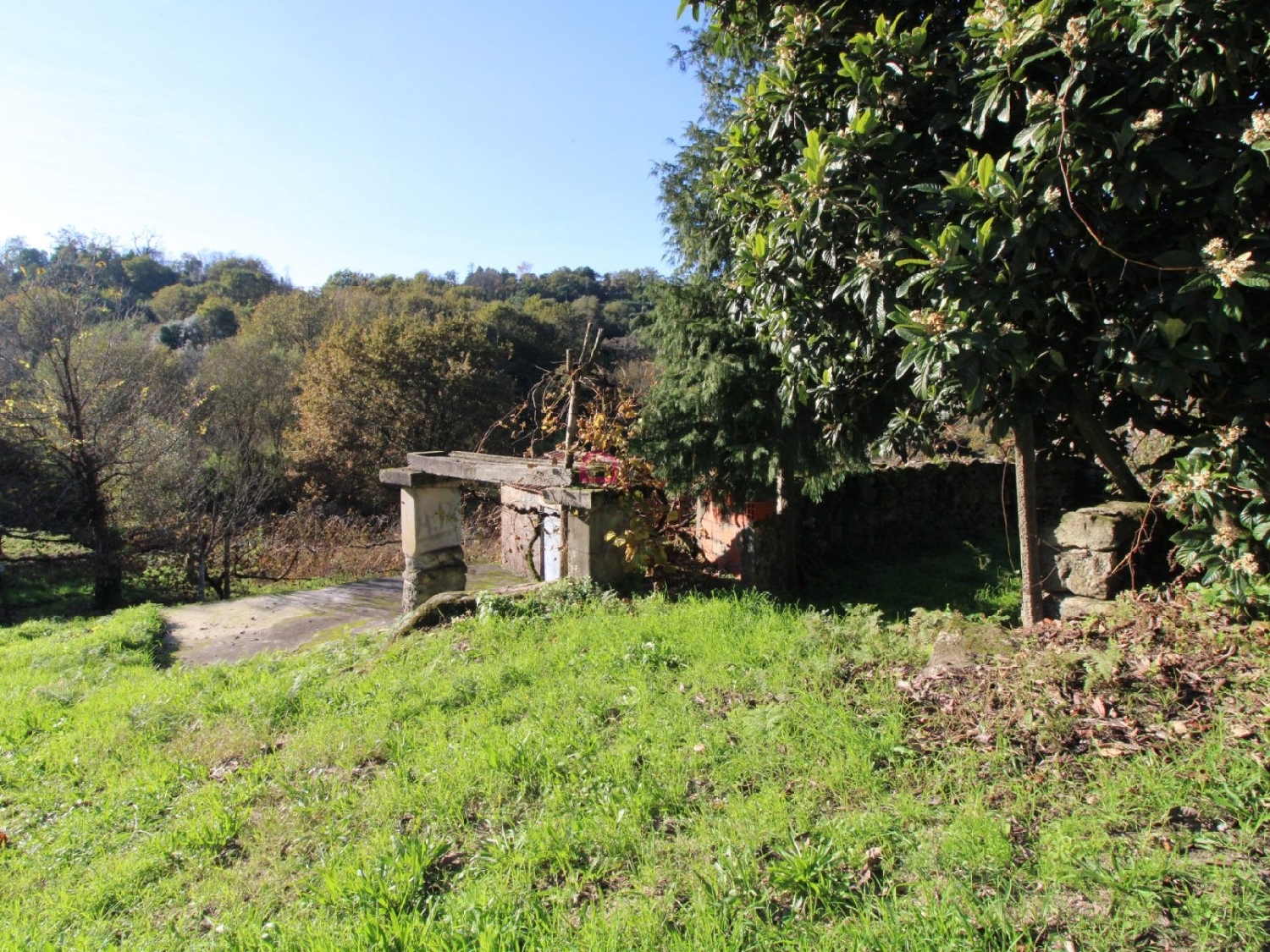  kaufen Bauernhof Souto Castro Daire 5