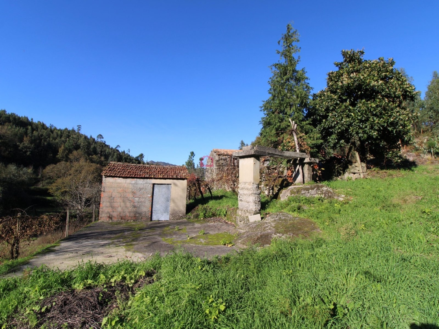  kaufen Bauernhof Souto Castro Daire 6