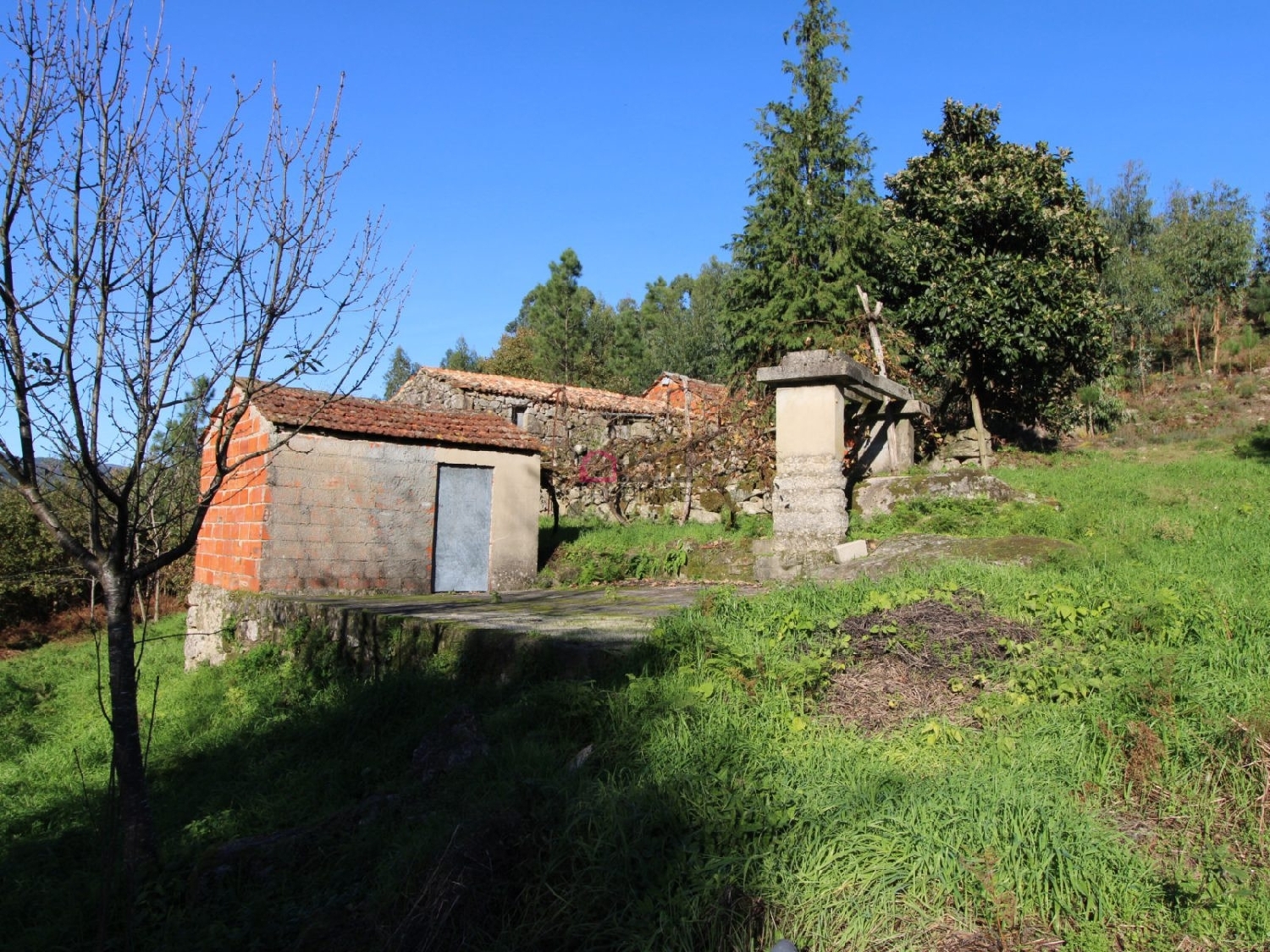  kaufen Bauernhof Souto Castro Daire 8