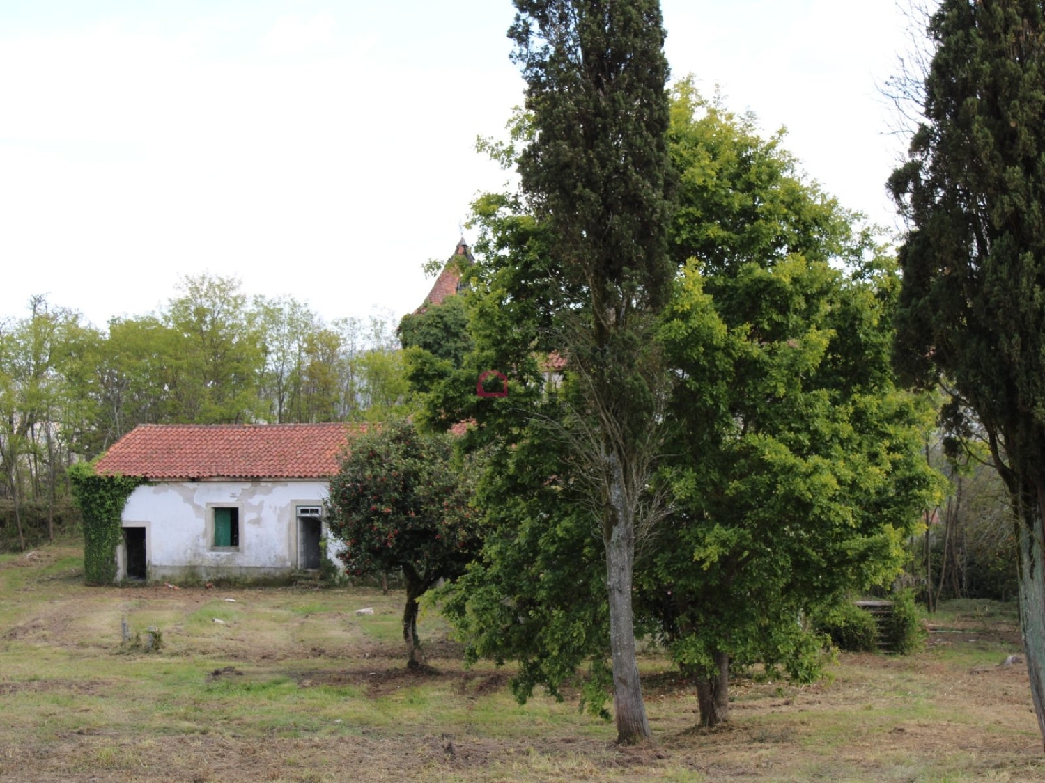  kaufen Bauernhof Souto Castro Daire 6