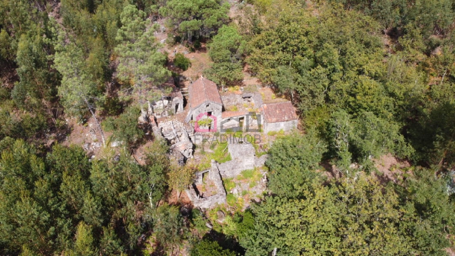  kaufen Bauernhof Talhadas Sever Do Vouga 1