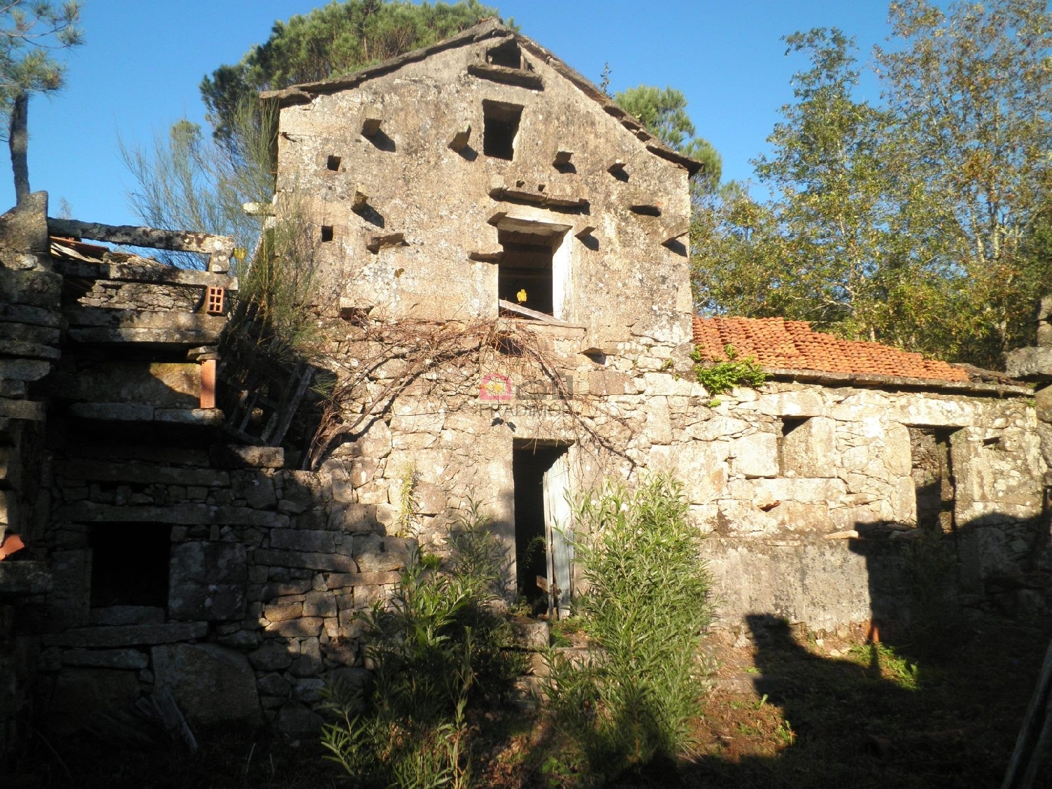 kaufen Bauernhof Talhadas Sever Do Vouga 3