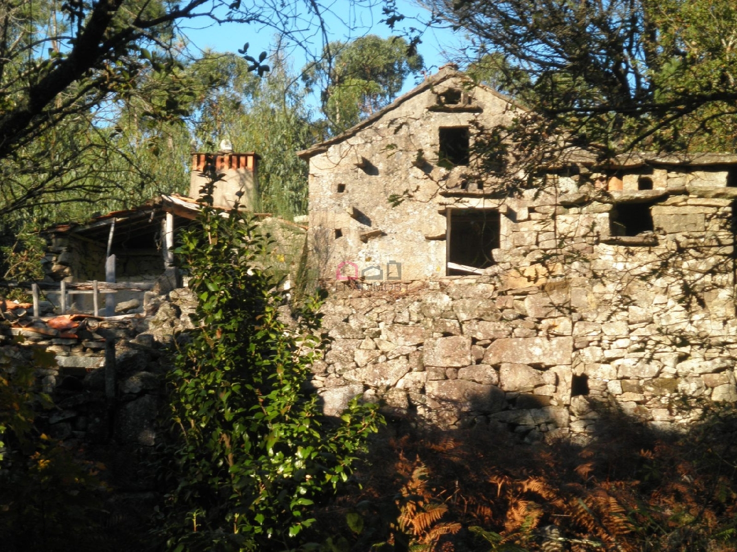 kaufen Bauernhof Talhadas Sever Do Vouga 5