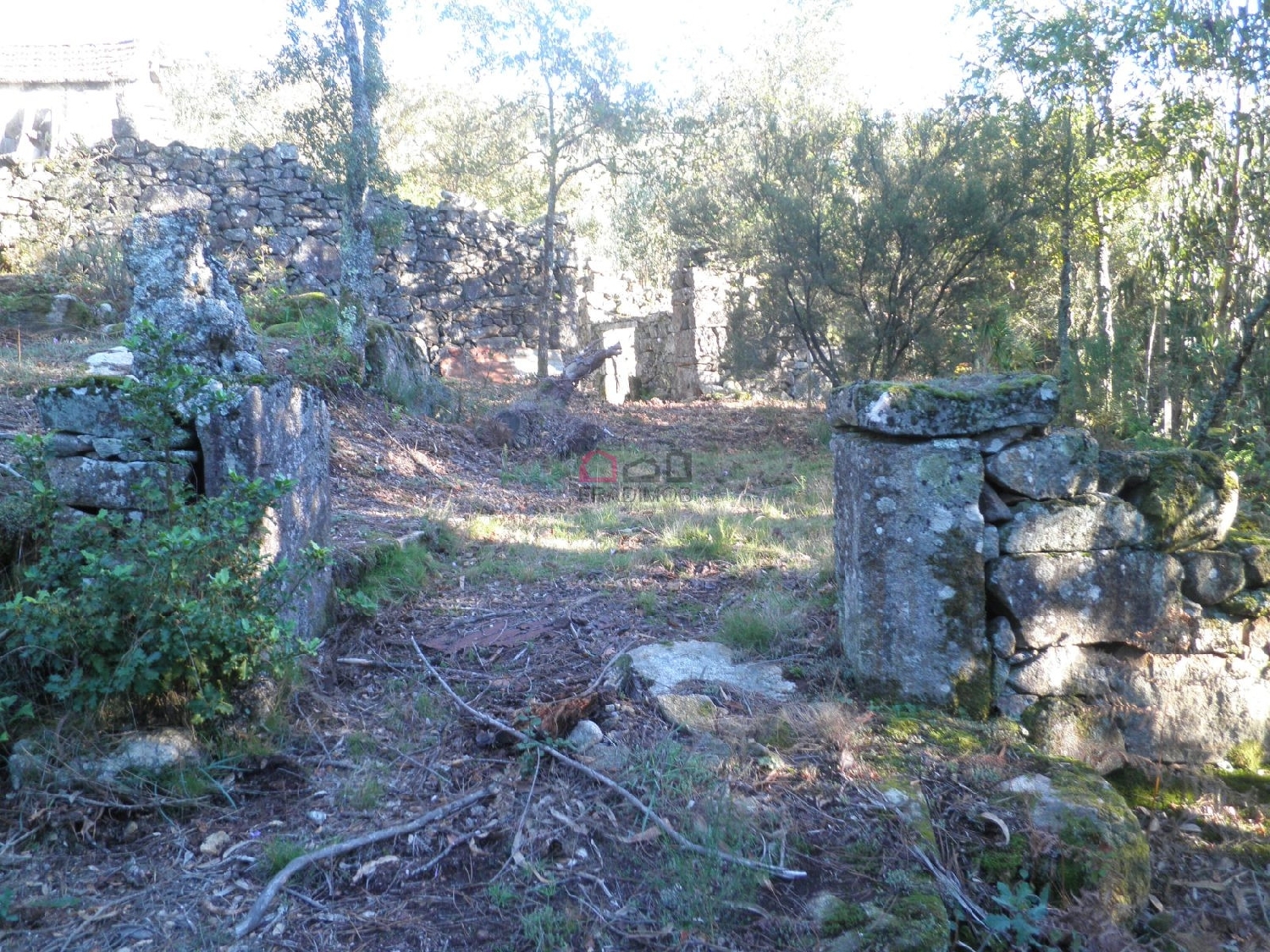 kaufen Bauernhof Talhadas Sever Do Vouga 6