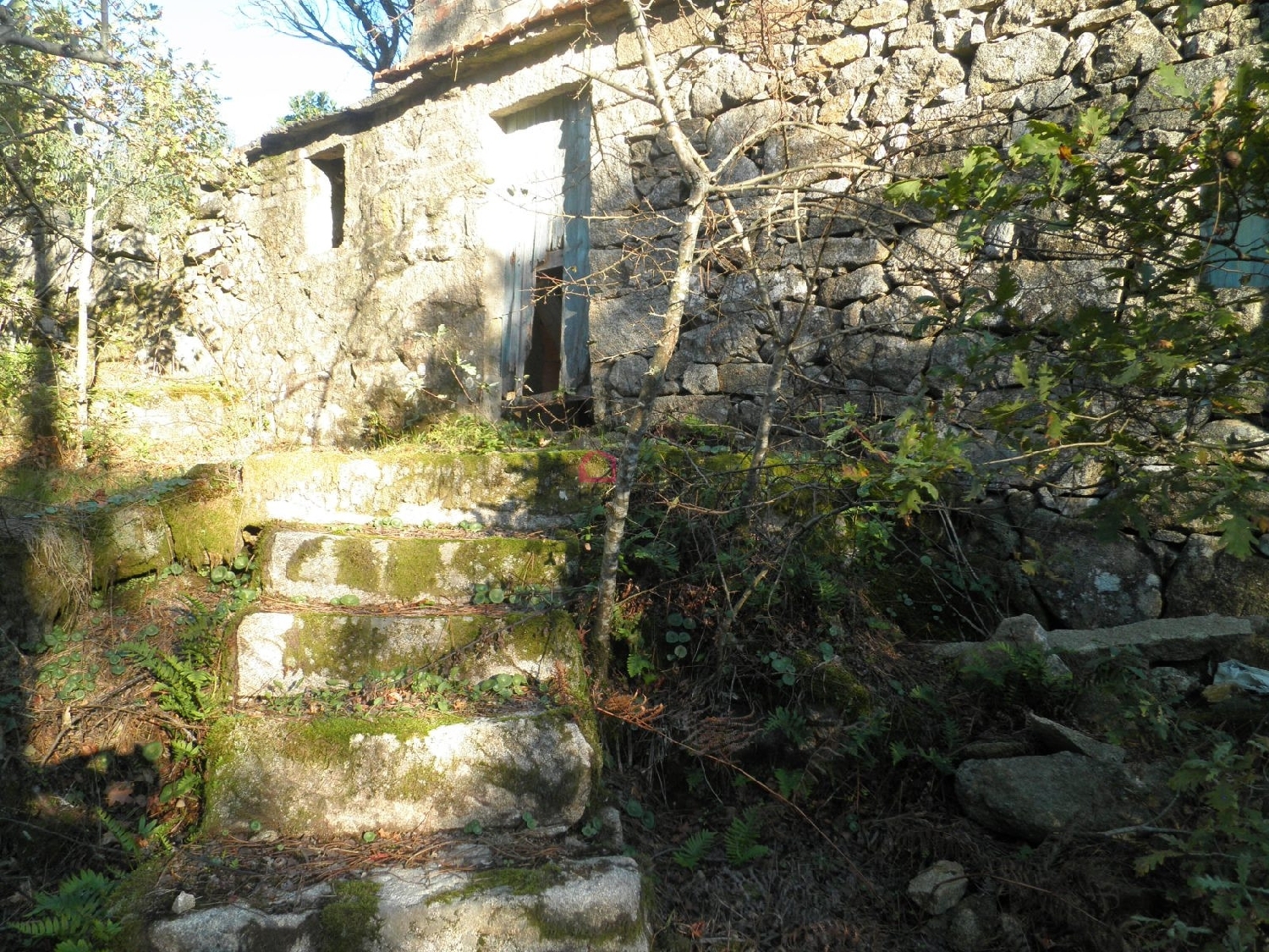  kaufen Bauernhof Talhadas Sever Do Vouga 7