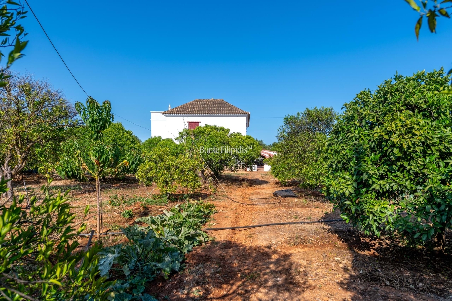  à venda quinta Tavira Tavira 4