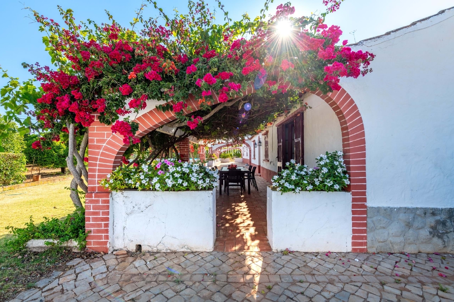 à venda quinta Tavira Tavira 6